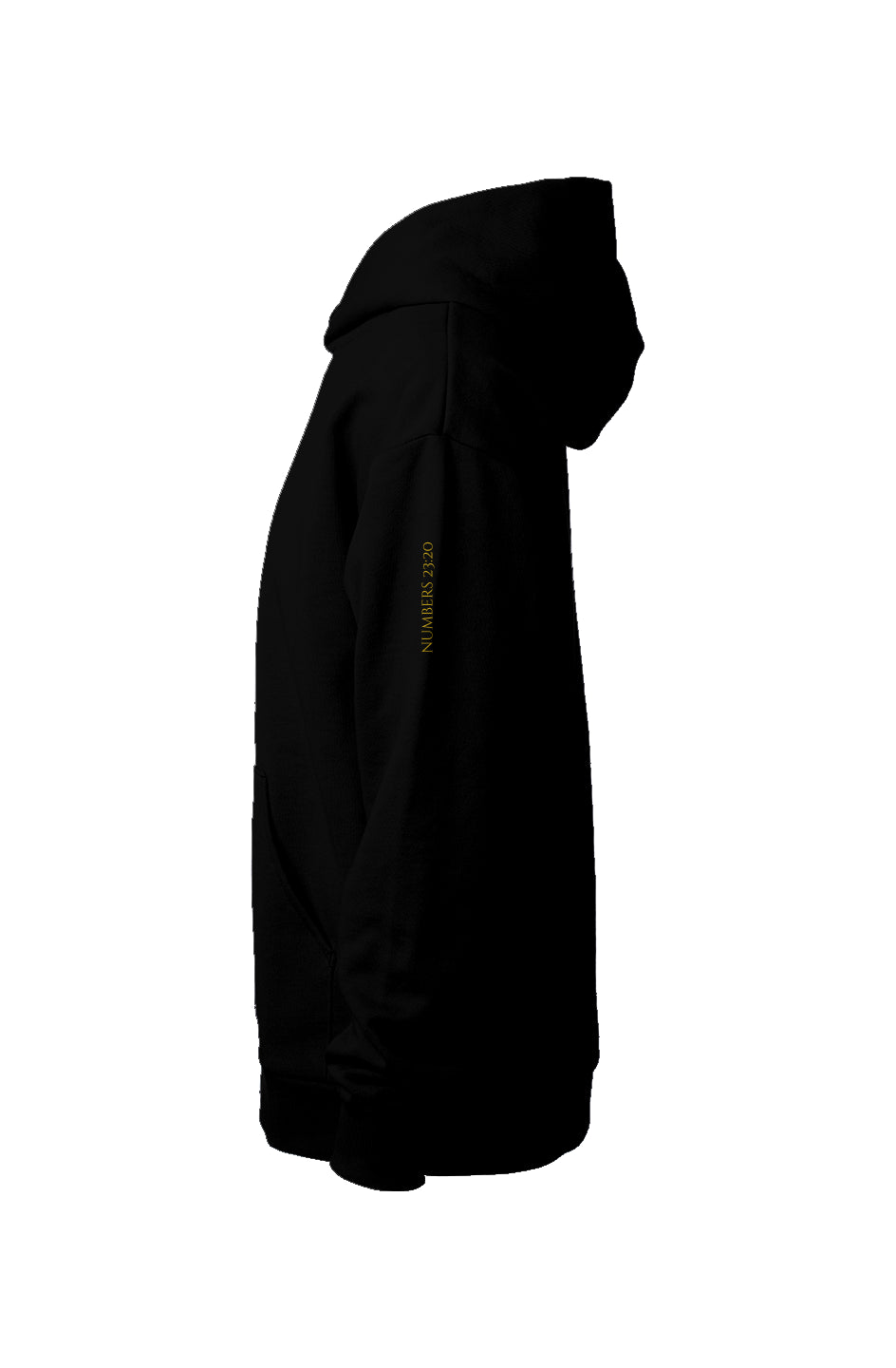 Favored Mainstreet Hoodie